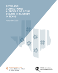 Image of the Profile Deaths in Custody report featuring a title and image of Texas. 