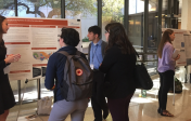 Photo of students in front of a white board presentation.