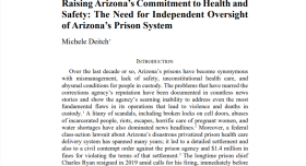 Screenshot of the Raising Arizona's Commitment Report, featuring plain text on white document.