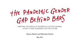 Cover of the pandemic gender gap. Red font on white background.