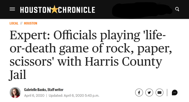 Screenshot of Houston Chronicle featuring Michele Deitch.