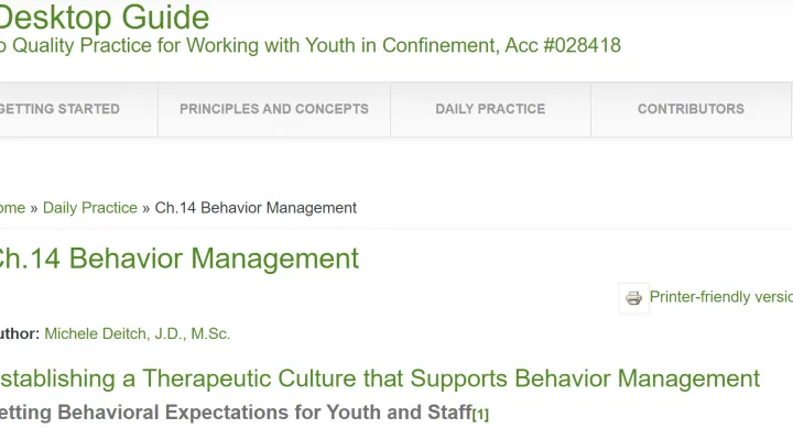 Screenshot Desktop Guideto Quality Practice for Working with Youth in Confinemen