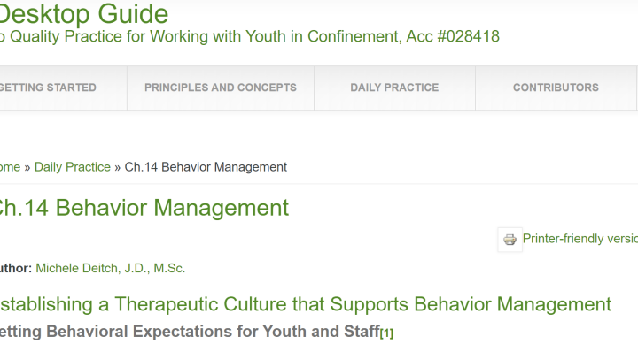 Screenshot Desktop Guideto Quality Practice for Working with Youth in Confinemen
