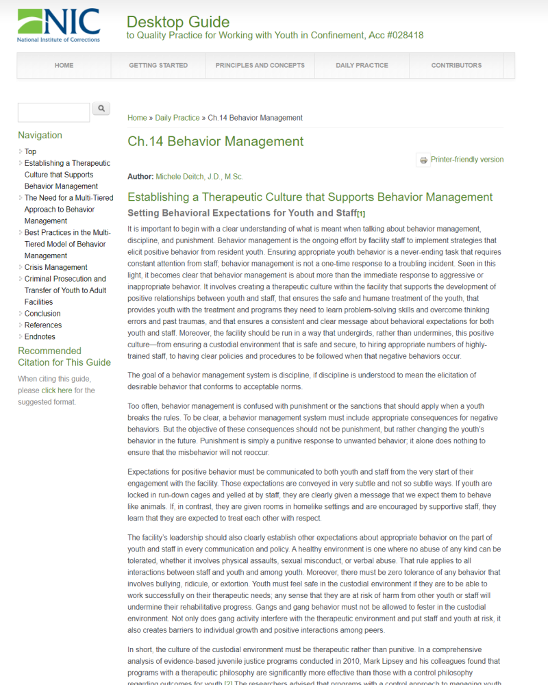 Screenshot Desktop Guideto Quality Practice for Working with Youth in Confinemen