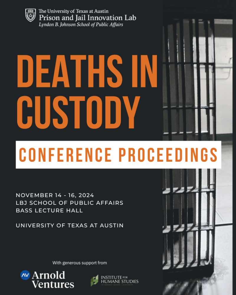 Deaths in Custody poster